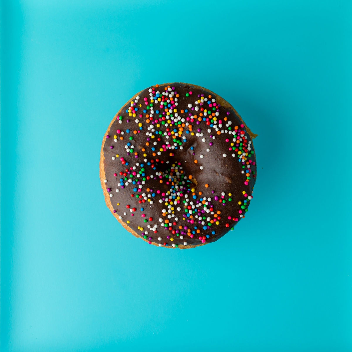 donuts and democracy 1200w